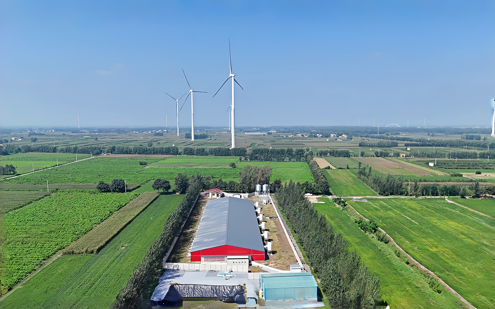 兰考县野狼桃001GROW农场