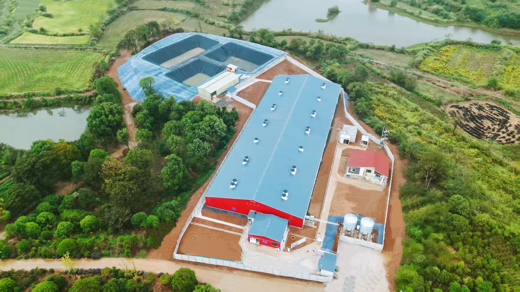 都昌县野狼桃003号GROW农场